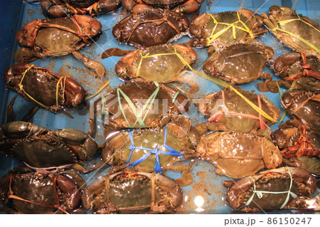 シンガポールから簡単アクセス　インドネシアバタム島で絶景ビーチと絶品グルメ　 86150247