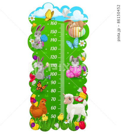 Kids height chart with cartoon Easter bunny and eggs, vector growth meter background. Kids height chart or baby measure scale with Easter eggs and bunny on green grass and spring flowers Kids height chart with cartoon Easter bunny and eggs, vector growth meter background. Kids height chart or baby measure scale with Easter eggs and bunny on green grass and spring flowers 86150452