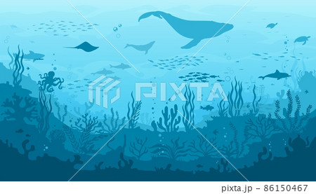 Ocean underwater landscape, seaweed and reef, fish school, whale silhouette. Sea bottom landscape, seafloor seascape vector background with ocean flora and fauna, corals, sea animal silhouettes 86150467