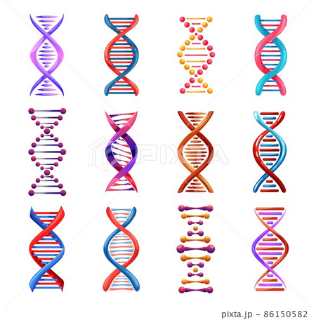 Dna helix icons, genetic medicine vector signs. Human genetic code, molecule spiral structure, science and scientific research. Dna strand elements, evolution symbols set isolated on white background 86150582