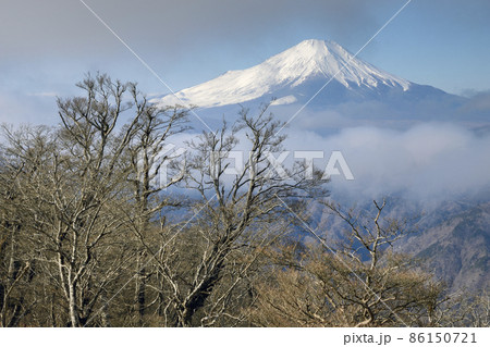 西丹沢山地から冬の富士山【檜洞丸】山頂直下から 86150721