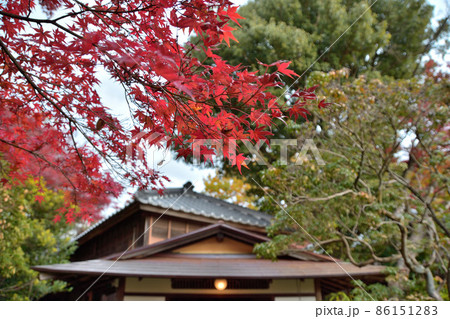 皆春荘の紅葉 皆春荘の紅葉 86151283