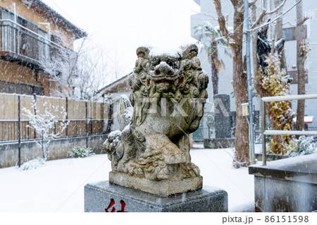雪化粧をした狛犬 狛犬の上に降り積もる雪 神社の雪景色 86151598