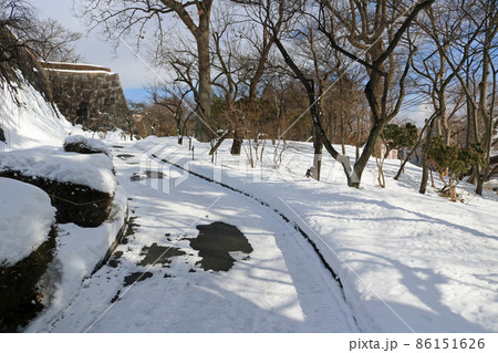 冬の盛岡城跡公園 86151626