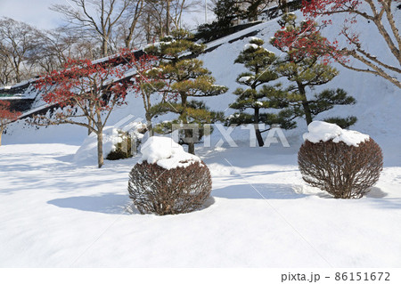冬の盛岡城跡公園 86151672