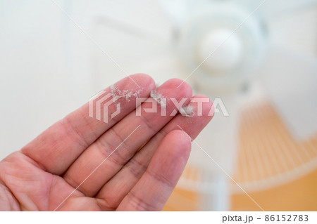 扇風機掃除 86152783