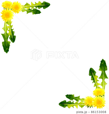 タンポポの飾りフレーム 春の花の背景素材 かわいい手描き水彩イラスト素材のイラスト素材