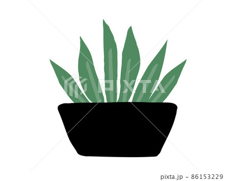 かわいいボタニカル観葉植物/手描きイラストK かわいいボタニカル観葉植物/手描きイラストK 86153229