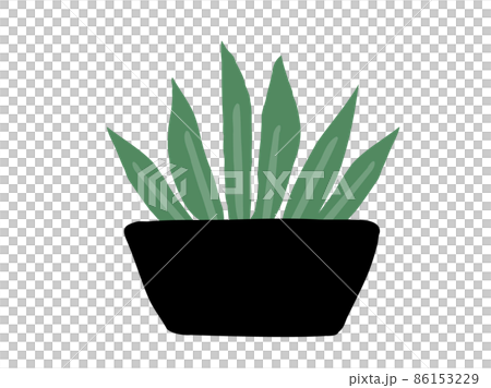 かわいいボタニカル観葉植物/手描きイラストK かわいいボタニカル観葉植物/手描きイラストK 86153229