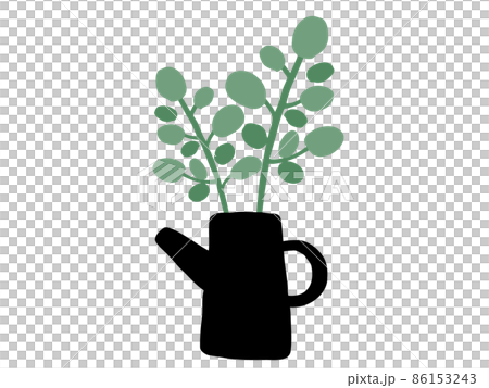 Cute botanical foliage plant / hand-drawn illustration K 86153243