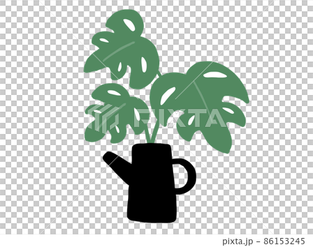 Cute botanical foliage plant / hand-drawn illustration K 86153245