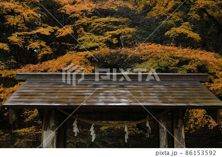 赤城神社　紅葉 86153592
