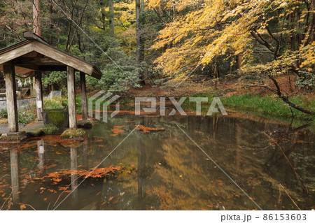 赤城神社 紅葉 赤城神社 紅葉 86153603