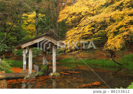 赤城神社 紅葉 赤城神社 紅葉 86153612