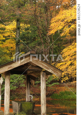 赤城神社 紅葉 赤城神社 紅葉 86153624