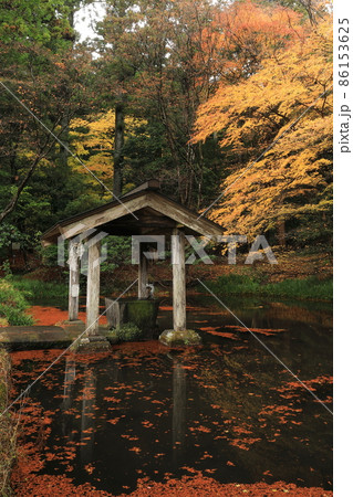 赤城神社 紅葉 赤城神社 紅葉 86153625