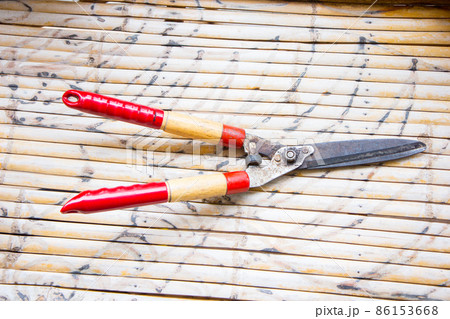 Grass Shears 86153668