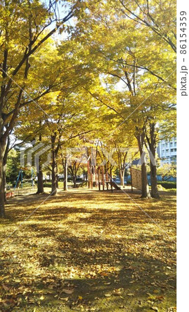 秋の公園 秋の公園 86154359
