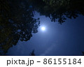 夜空の月光 86155184
