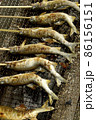 鮎塩焼き 86156151