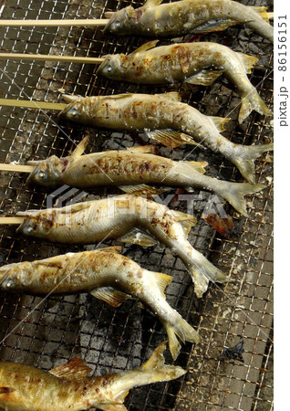 鮎塩焼き 86156151