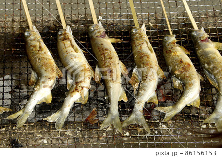 鮎塩焼き 86156153