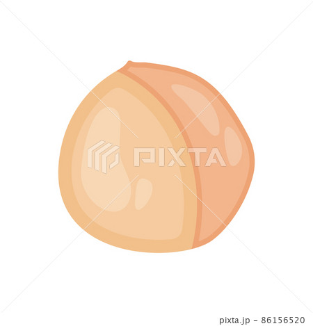 Isolated on white are pine nuts in shell and a vector flat material design. Isolated on white are pine nuts in shell and a vector flat material design. 86156520