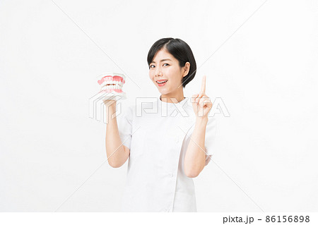 歯の模型を持つ若い女性の歯科衛生士（白バック） 86156898