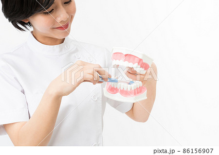 歯の模型を持つ若い女性の歯科衛生士(白バック) 歯の模型を持つ若い女性の歯科衛生士(白バック) 86156907
