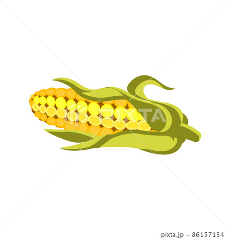 Isolated on a white background, vector flat illustration of corn. 86157134