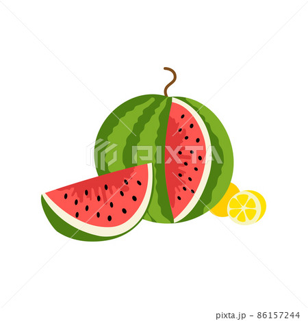 flat vector illustration of watermelon and slices on a white background flat vector illustration of watermelon and slices on a white background 86157244