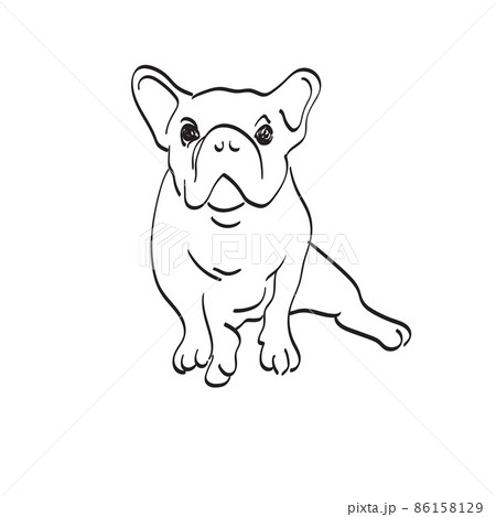 bulldog sitting illustration vector hand drawn isolated on white background line art. 86158129