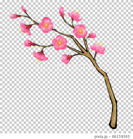 梅花和樹枝的日式毛筆插圖[紅梅] 86159303