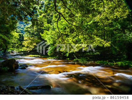 長瀬峡の新緑の渓流写真です。深谷川の清流がきれいです。島根県 86159458