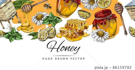 Honey hand drawn background or banner layout sketch vector illustration. 86159782