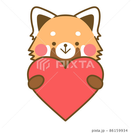 ハートを持つレッサーパンダ 上半身 86159934