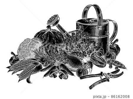 Gardening Tools Vegetables Produce Vintage Woodcut Gardening Tools Vegetables Produce Vintage Woodcut 86162008