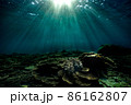 光芒に映し出される水中 86162807