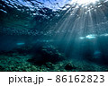 美しい水中光芒の中、気持ち良さそうに泳ぐキビナゴの大群 86162823