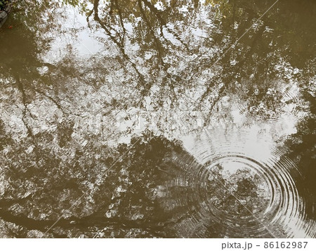水たまりに映る木の影 水たまりに映る木の影 86162987