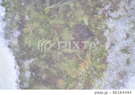 氷を張った水たまり 土 草 地面 氷を張った水たまり 土 草 地面 86164494
