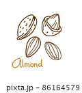 Almond hand drawn graphics element for packaging design of nut and seed or snack. Vector illustration in line art style 86164579
