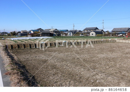 排水が悪いホウレンソウ畑の工夫 86164658