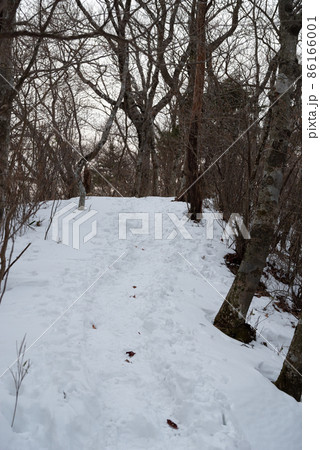雪の登山道 86166001