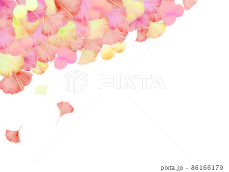 水彩の赤色や黄色のイチョウが枝から舞い落ちる背景白素材 横 他色有　 86166179