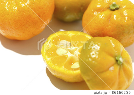 完熟したスダチを白背景で撮影 完熟したスダチを白背景で撮影 86166259