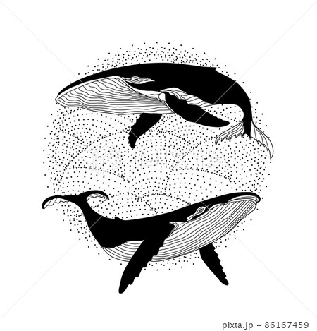 A pair of whales on the waves 86167459
