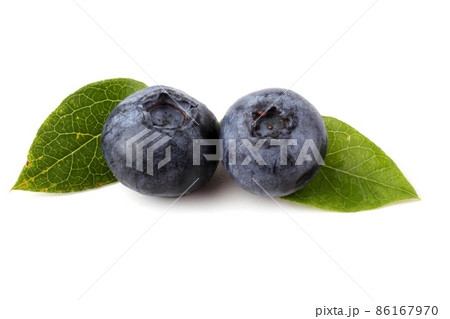 Blueberries and leaf Blueberries and leaf 86167970