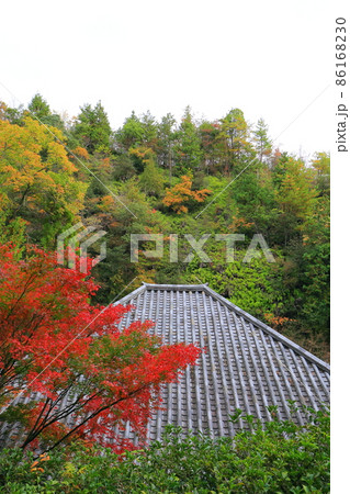三滝寺 86168230