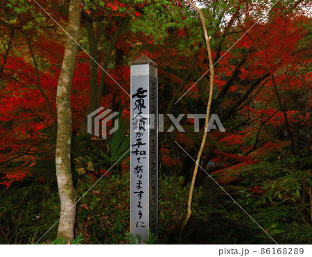 三滝寺 三滝寺 86168289
